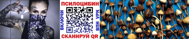 Купить Буй Галлюциногенные грибы мицелий